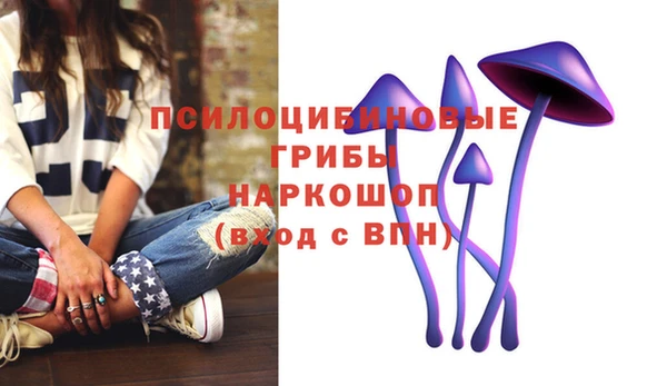 гидра Козельск