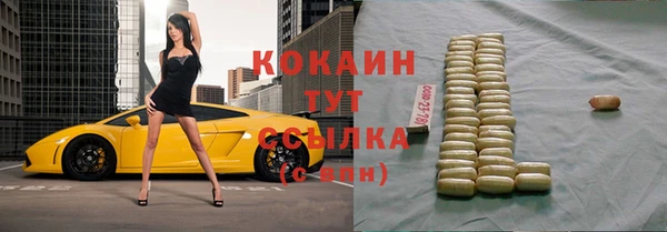 прущие крисы Кодинск