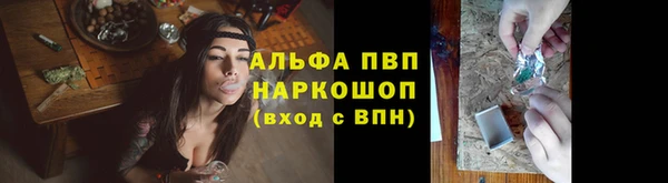 прущие крисы Кодинск