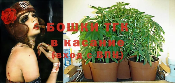 таблы Козловка
