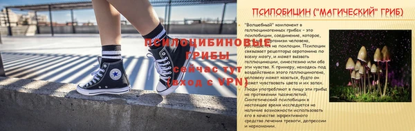 таблы Козловка