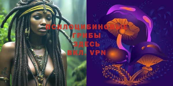 таблы Козловка