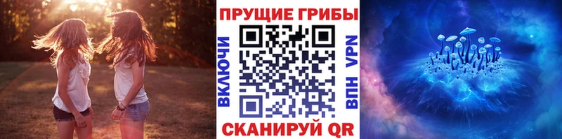 Купить где  Северобайкальск  Псилоцибиновые грибы ЛСД 